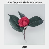 Artwork for Your Love by Dana Bergquist