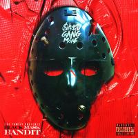 Artwork for Black Mask Bandit by Shredgang Mone