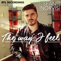 Artwork for The Way I Feel by Sean Norvis