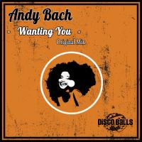 Artwork for Wanting You by Andy Bach