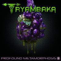 Artwork for Profound Metamorphosis by Tryambaka