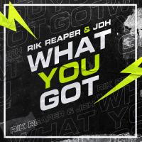 Artwork for What You Got by Rik Reaper