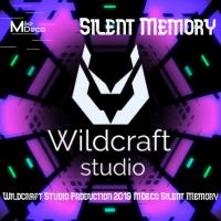 Artwork for Silent Memory by MDeco