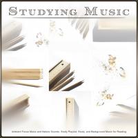 Artwork for Studying Music: Ambient Focus Music and Nature Sounds, Study Playlist, Study, and Background Music for Reading by Studying Music