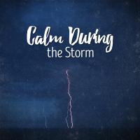 Artwork for Calm During the Storm by Thunderstorms