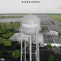 Artwork for Trick City (Deluxe) by BigWalkDog