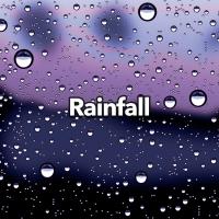 Artwork for Rainfall by Whale Sounds