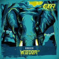 Artwork for Wisdom by Ankker