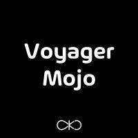 Artwork for Voyager Mojo (Radio Edit) by Betoko