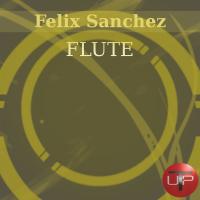 Artwork for Flute by Felix Sanchez