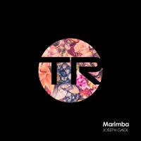 Artwork for Marimba by Joseph Gaex