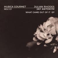 Artwork for What Came Out of It by Julian Rhodes