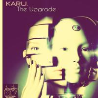 Artwork for The Upgrade by KARU