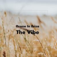 Artwork for The Vibe by Drone In Ibiza