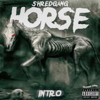 Artwork for Intro by Shredgang Horse