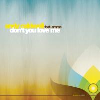 Artwork for Don't You Love Me by Andy Caldwell