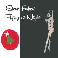 Artwork for Flying At Night by Steve Forbert