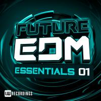 Artwork for Future EDM Essentials, Vol. 1 by Various Artists