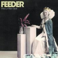 Artwork for Picture of Perfect Youth by Feeder