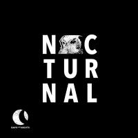 Artwork for Nocturnal 001 by Martijn Ten Velden