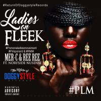 Artwork for Ladies On Fleek (feat. Norfside Nusense) by Mer-C