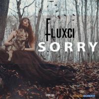 Artwork for S O R R Y by Fluxci