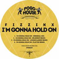 Artwork for I'm Gonna Hold On by Fizzikx