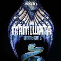 Artwork for Mamiwata EP by Tommy Ertz