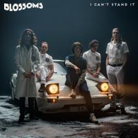 Artwork for I Can't Stand It (Remixes) by Blossoms