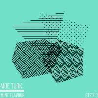 Artwork for Mint Flavour by Moe Turk