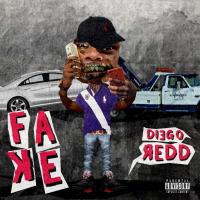 Artwork for Fake by Diego Redd