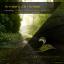Artwork for Amber (Original Mix)