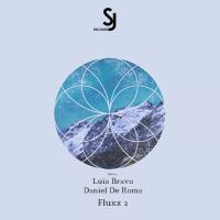 Artwork for Fluxx 2 EP by Luis Bravo