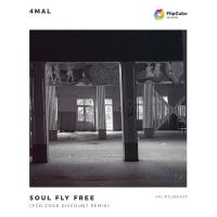 Artwork for Soul Fly Free (FCD Code Discount Remix) by 4Mal