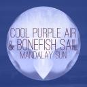 Artwork for Bonefish Sail