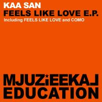 Artwork for Feels Like Love E.P. by Kaa San