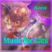 Artwork for Music for Cats by Xlarve
