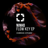 Artwork for Flow Key by Ninho