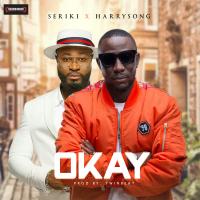 Artwork for Okay (feat. Harrysong) by Seriki