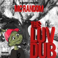 Artwork for The Luv Dub: Beats To Fall In Love To... by MC Random