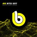 Artwork for Overshadow (Joey Beltram Remix)