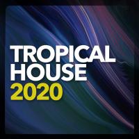 Artwork for Tropical House 2020 by Tropical House