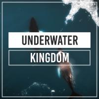 Artwork for Underwater Kingdom by Whale Sounds