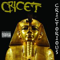 Artwork for Crictorious by Cricet