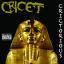 Artwork for Crictorious