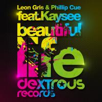 Artwork for Beautiful Life (feat. Kaysee) by Leon Gris