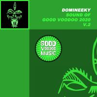 Artwork for Sound Of Good Voodoo 2020 V.2 by Domineeky