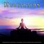 Artwork for Tranquil Meditation Music and Ocean Waves