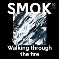 Artwork for Walking Through the Fire by Smok