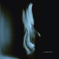 Artwork for A Wonderful Life by Tom Odell